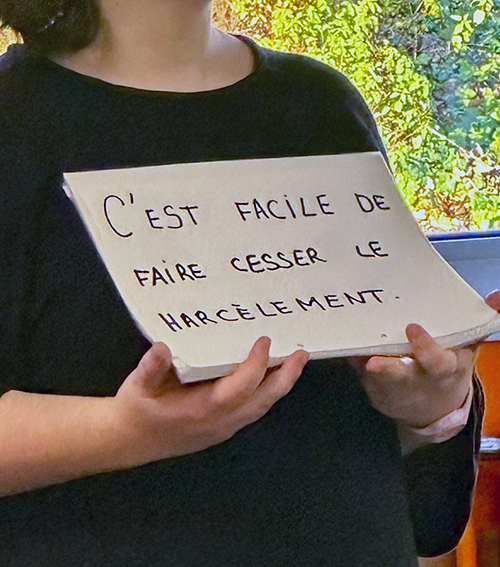 Climat scolaire - ambassadeurs harcèlement