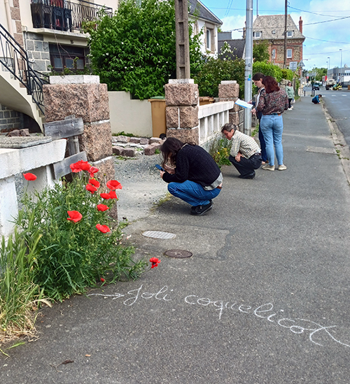 Atelier Inspé sciences participatives