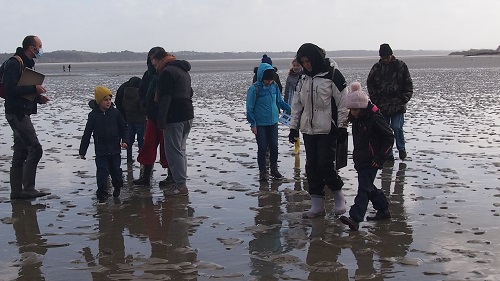 Aire marine éducative - balades littorales