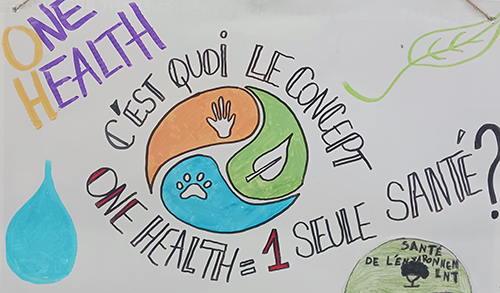 One Health - exposition des élèves à Collinée